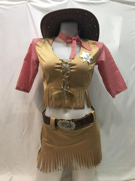 Wild Wild West Sheriff Cowgirl Cowboy Costume